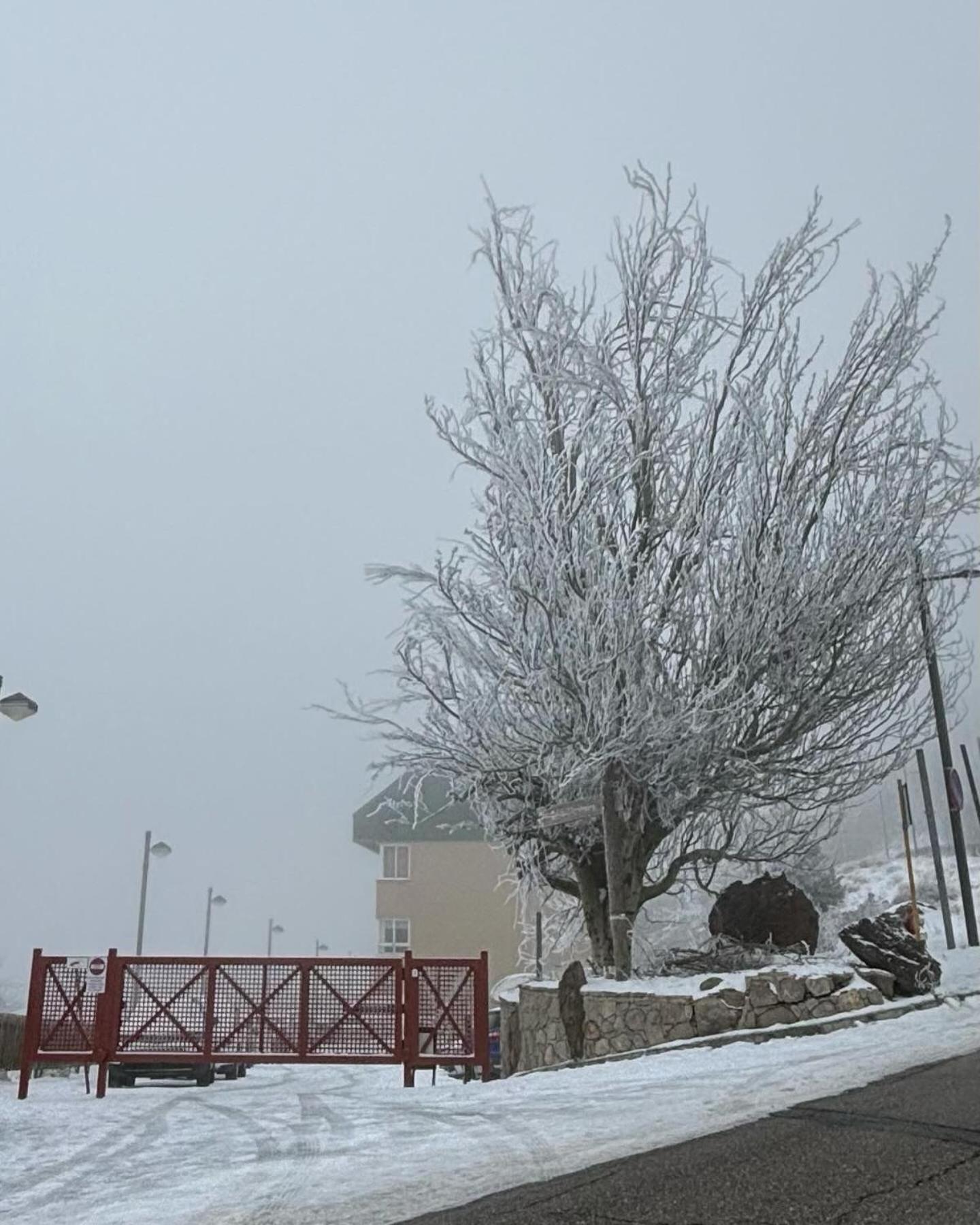 Apartament Biznaga Nevada Grenada Zewnętrze zdjęcie